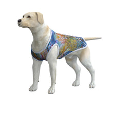 Load image into Gallery viewer, The Behold Collection Dog&#39;s Tank Top
