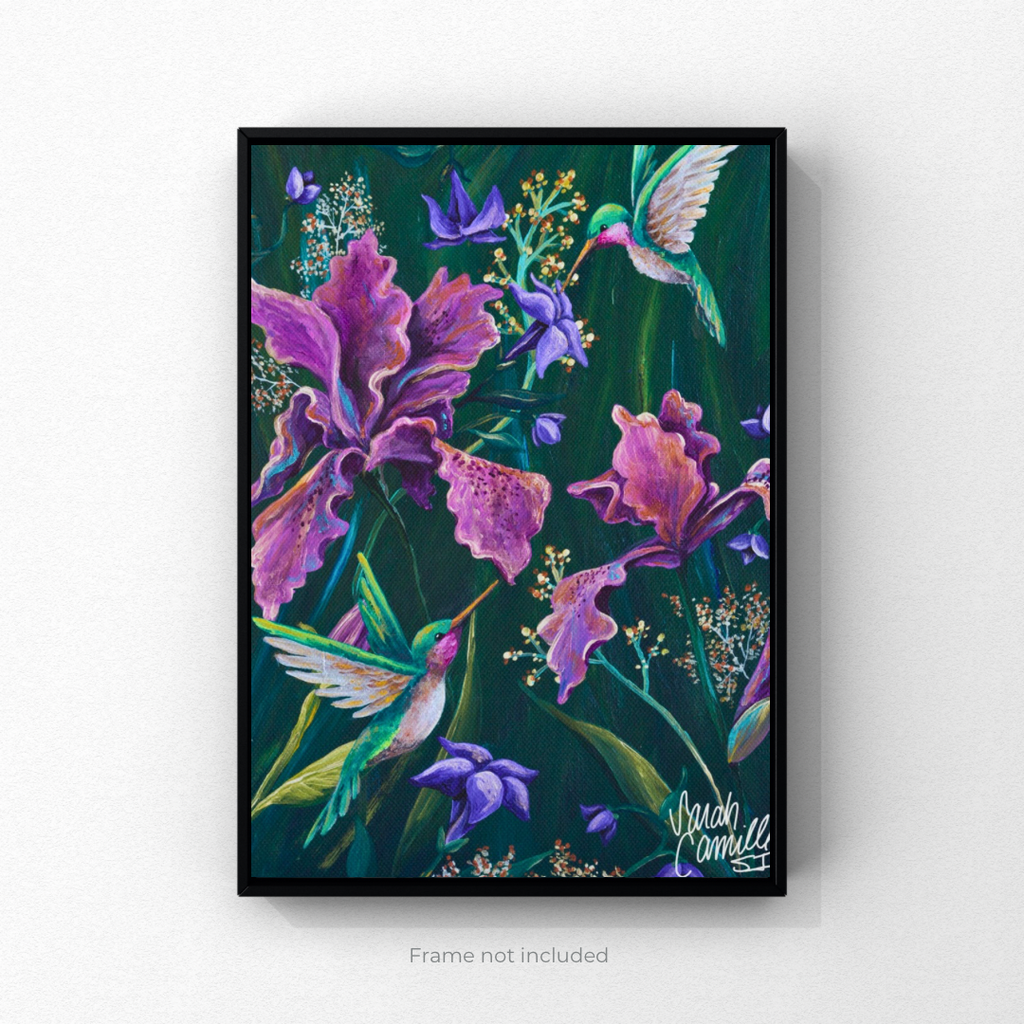 Hummingbirds Fine Art Prints