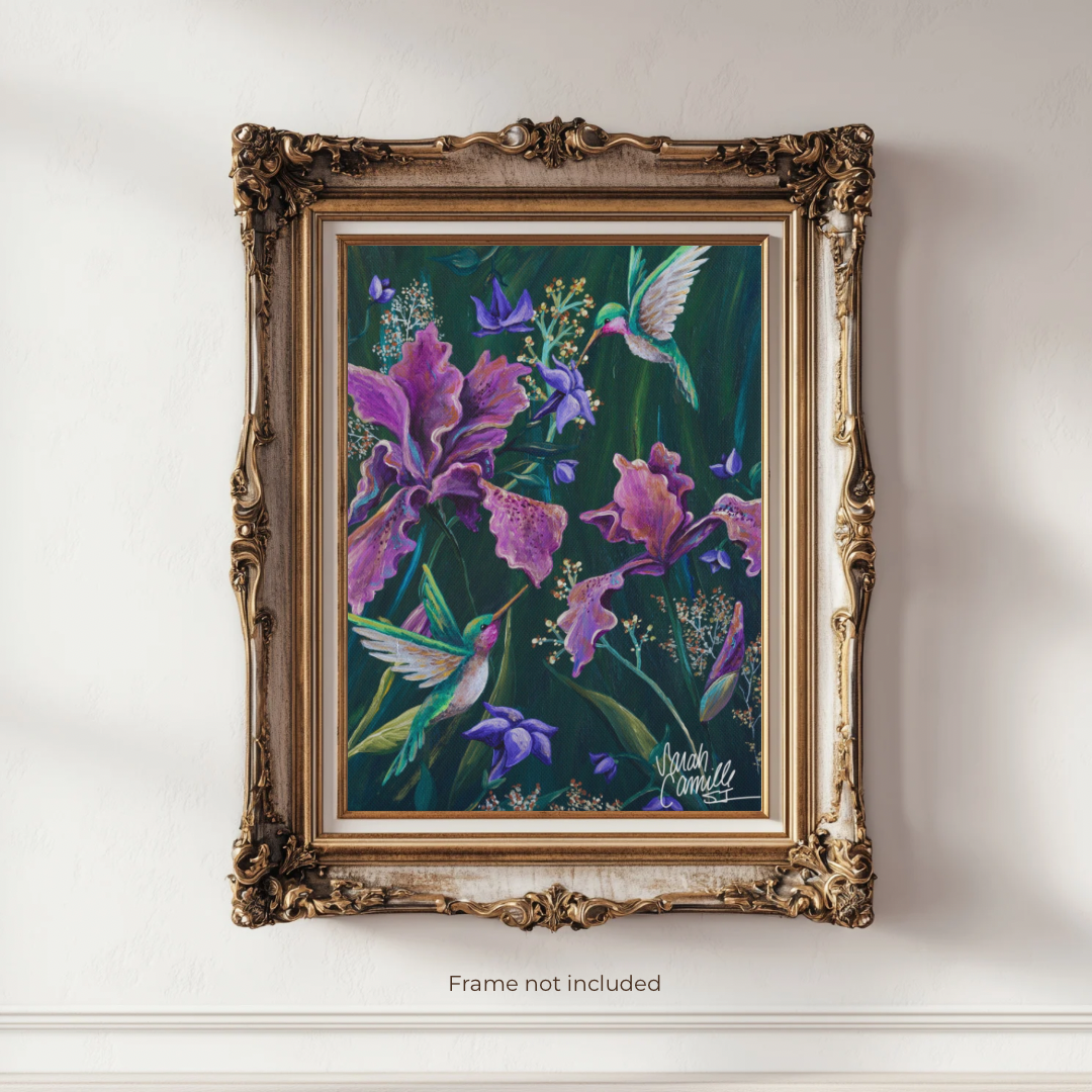 Hummingbirds Fine Art Prints