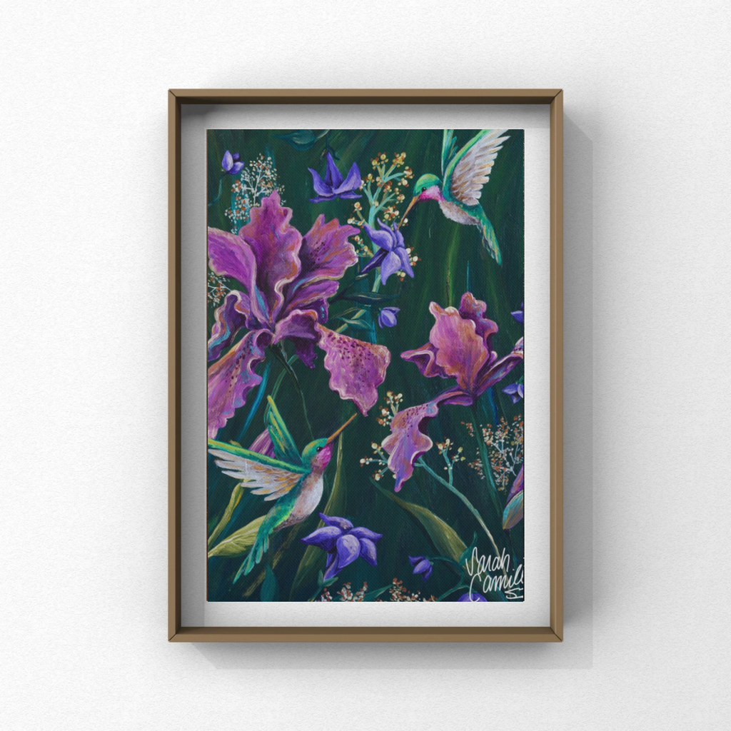 Hummingbirds Fine Art Prints