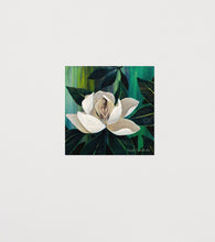 Load image into Gallery viewer, Blooming Magnolia
