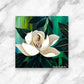 Blooming Magnolia
