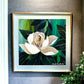 Blooming Magnolia