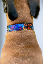 Load image into Gallery viewer, The Behold Collection Pet Fashion Collar and Leash sets for dogs by Sarah Camille Art
