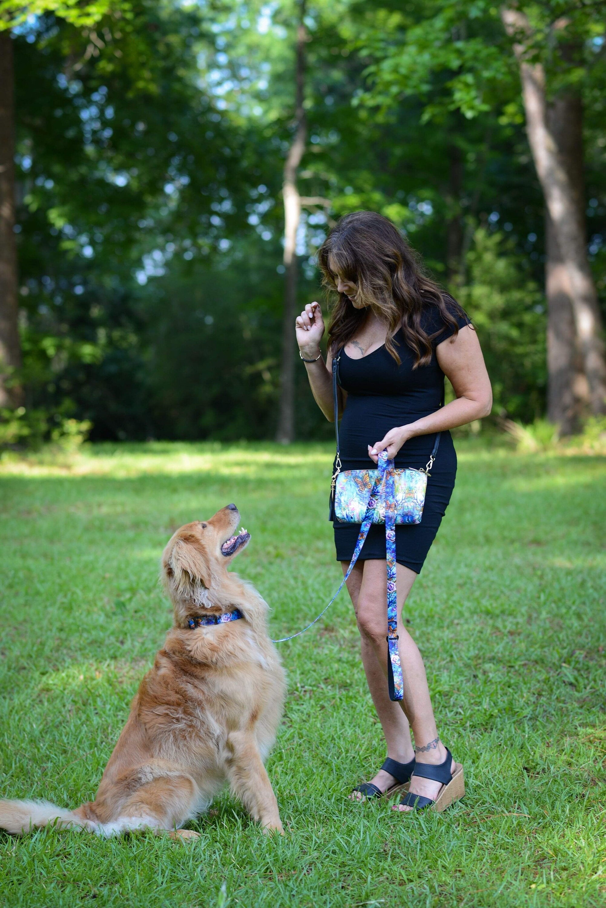 The Behold Collection Pet Fashion Collar and Leash sets for dogs by Sarah Camille Art